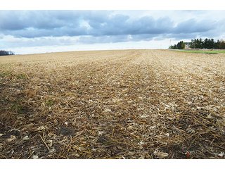 Property photo 25 - LAND AUCTION - 276.5+/- ACRES OFFERED IN 5 TRACTS IN EAST ALLEN COUNTY